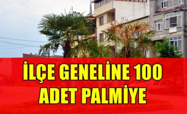 İLÇE GENELİNE 100 ADET PALMİYE