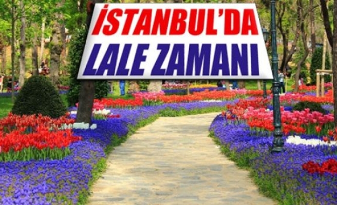 İstanbul’da 'lale zamanı'