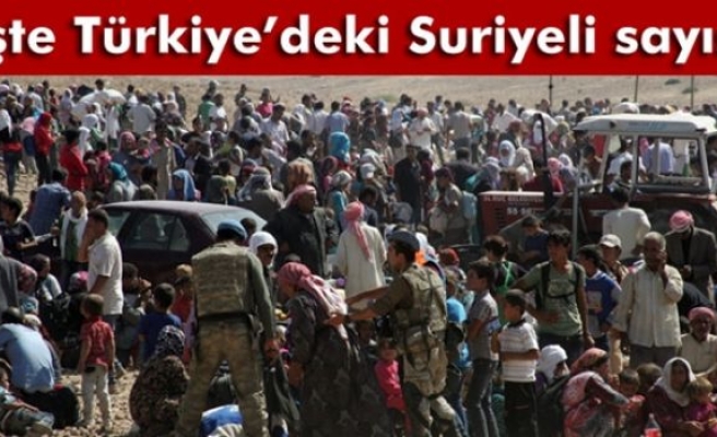 İşte Türkiye'deki Suriyeli sayısı