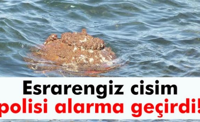 İzmir kıyılarına vuran esrarengiz cisim