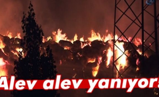 İzmir'de fabrika yangını devam ediyor