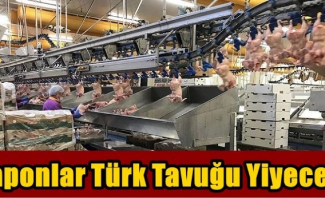 Japonlar Türk tavuğu yiyecek