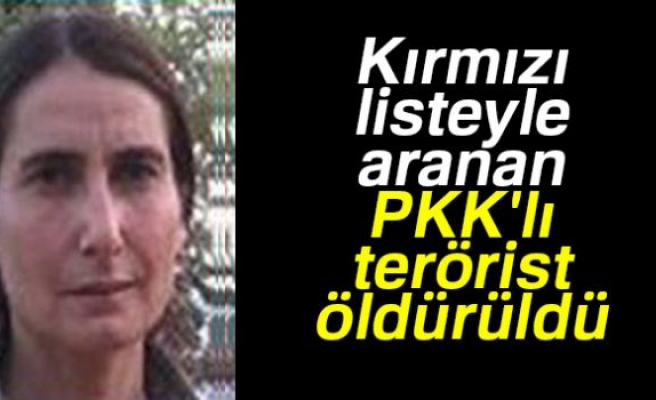 KIRMIZI LİSTEYLE ARANAN PKK'LI TERÖRİST ÖLDÜRÜLDÜ!