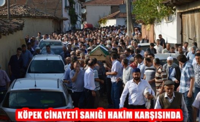 Köpek Cinayeti Sanığı Hakim Karşında