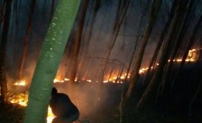 Korgan’da Çıkan Orman Yangını Korkuttu