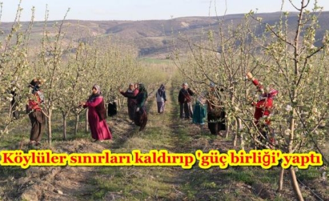 Köylüler sınırları kaldırıp 'güç birliği' yaptı