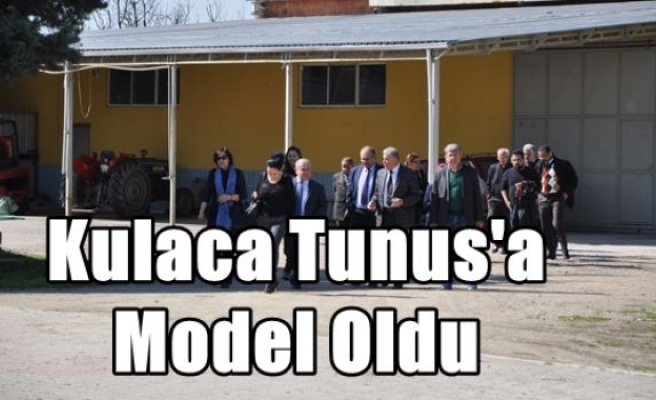 Kulaca Tunus'a Model Oldu