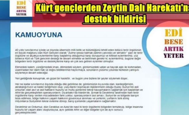 Kürt gençlerden Zeytin Dalı Harekatı'na destek bildirisi