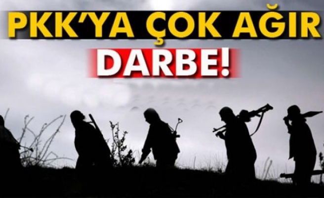 Lice’de PKK’ya 27 milyon 211 bin TL’lik darbe