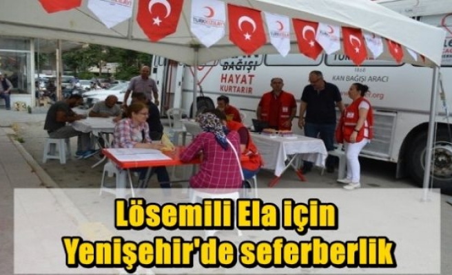 Lösemili Ela için Yenişehir'de seferberlik