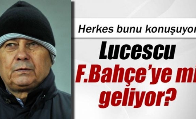Lucescu, Fenerbahçe'ye mi geliyor?
