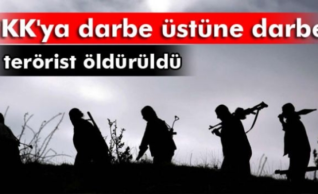 Mardin Valiliği: '9 PKK’lı etkisiz hale getirildi'