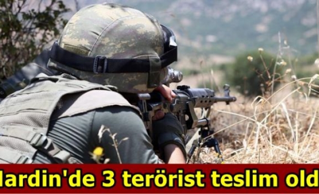 Mardin'de 3 terörist teslim oldu