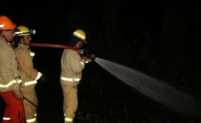 Marmaris’teki Orman Yangınında Sabotaj Şüphesi