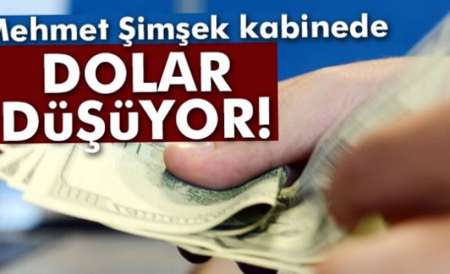 Mehmet Şimşek kabinede, dolar düşüyor...
