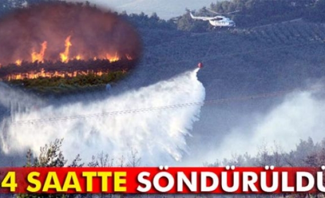 Mudanya'daki orman yangını söndürüldü