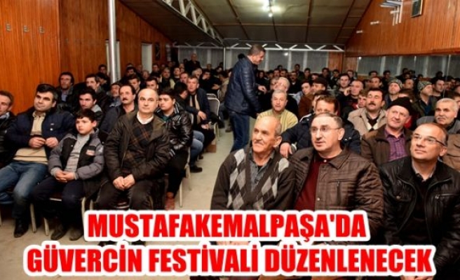 Mustafakemalpaşa'da güvercin festivali düzenlenecek