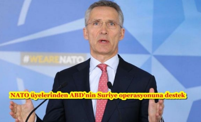 NATO üyelerinden ABD'nin Suriye operasyonuna destek