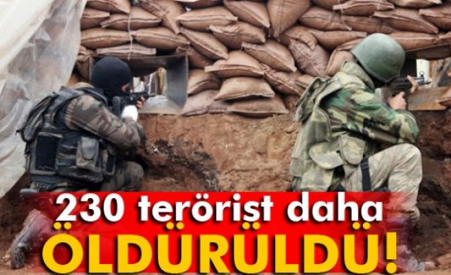 Nusaybin’de 230 terörist öldürüldü