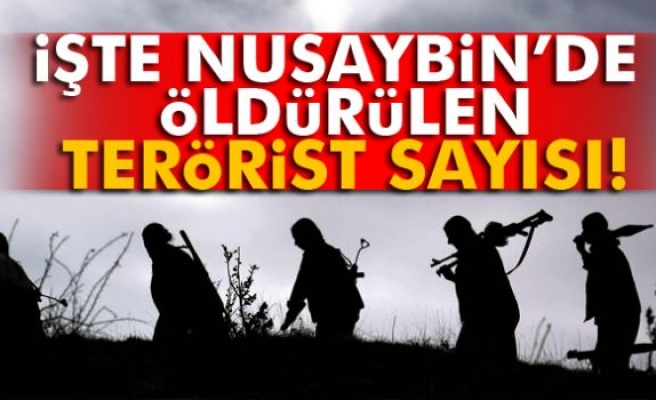 Nusaybin’de 403 terörist etkisiz hale getirildi