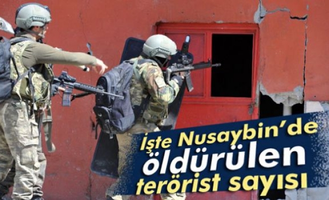 Nusaybin'de toplam 286 terörist öldürüldü