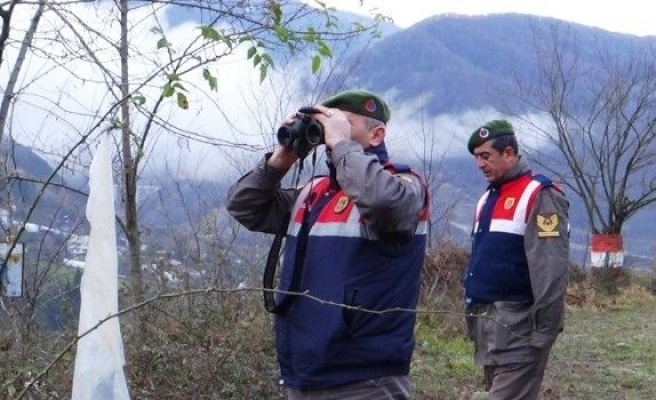 Ormanda Kaybolan Vatandaşı 400 Kişi Arıyor