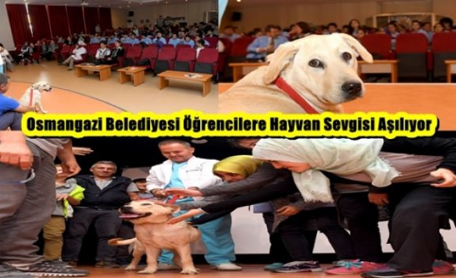 Osmangazi Belediyesi Öğrencilere Hayvan Sevgisi Aşılıyor