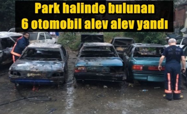  Park halinde bulunan 6 otomobil alev alev yandı