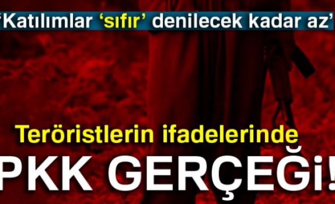  PKK gerçeği!