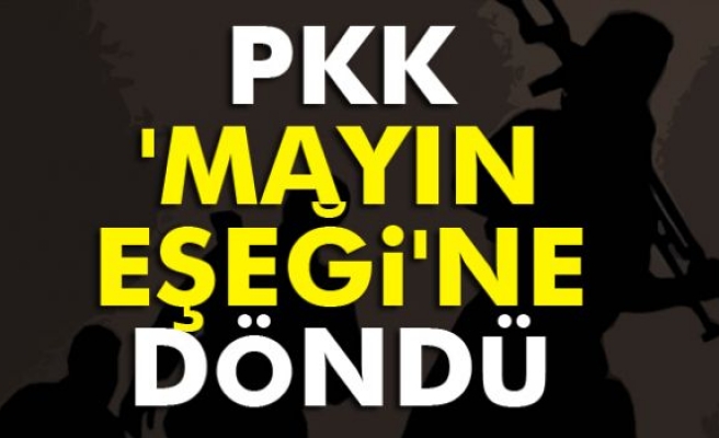 PKK Mayın Eşeğine Döndü!