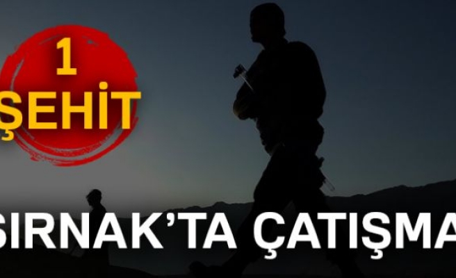 PKK'dan eş zamanlı saldırı: 1 şehit