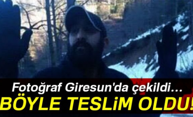 PKK'lı terörist Giresun'da işte böyle teslim oldu