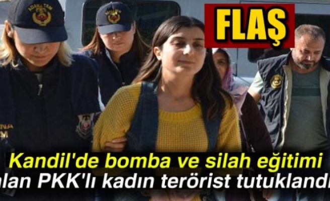 PKK'lı terörist tutuklandı!