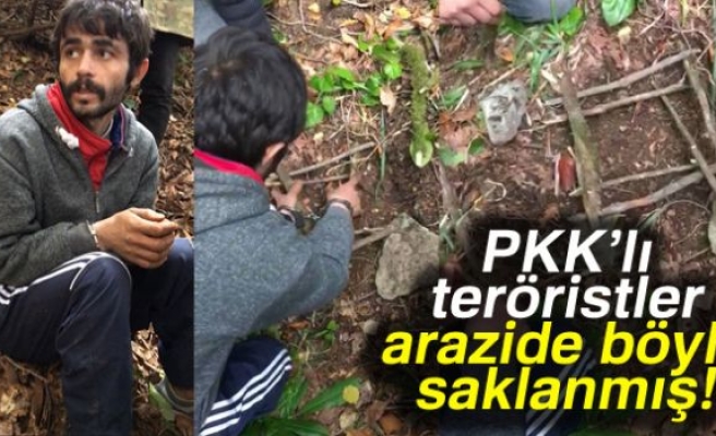 PKK'LI TERÖRİSTLER ARAZİDE BÖYLE SAKLANMIŞ!