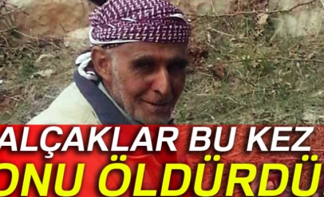 PKK’lı teröristler kaçırdıkları çobanı öldürdü