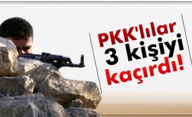 PKK'lılar 3 kişiyi kaçırdı