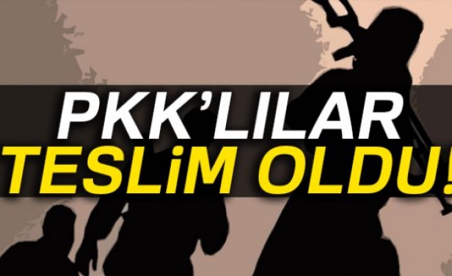 PKK'LILAR TESLİM OLDU!