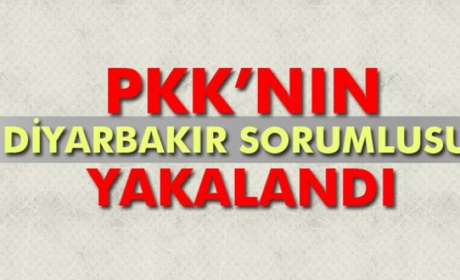PKK’nin Diyarbakır sorumlusu yakalandı