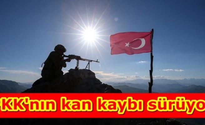 PKK'nın kan kaybı sürüyor