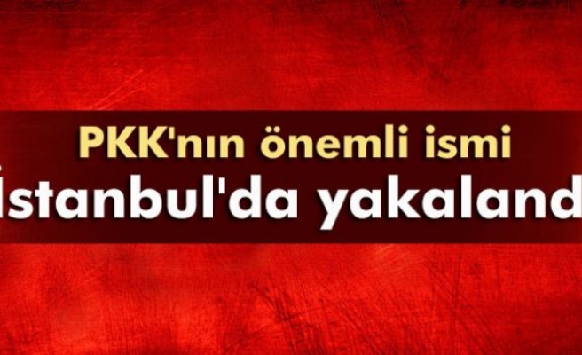 PKK'nın önemli ismi İstanbul'da tutuklandı