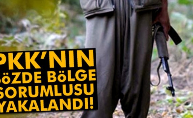 PKK'nın sözde 'bölge sorumlusu' yakalandı