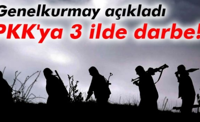 PKK'ya 3 ilde operasyon!