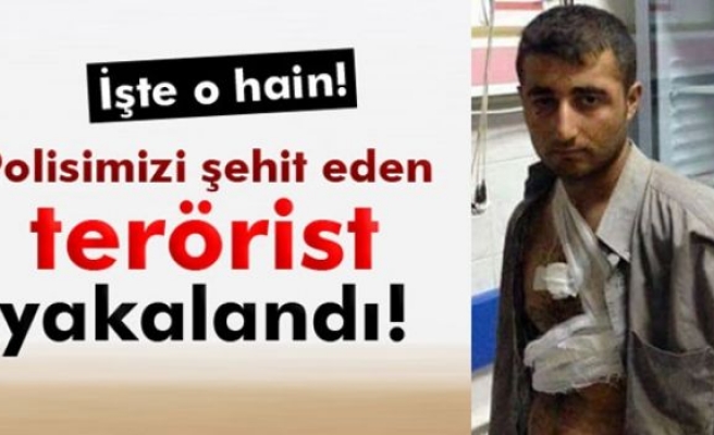 Polisimizi şehit eden terörist yakalandı