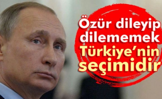 Putin: 'Özür dileyip dilememek Türkiye’nin seçimidir'