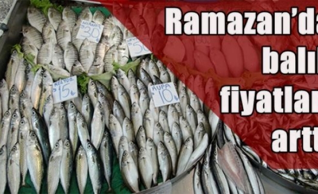 Ramazan’da balık fiyatları arttı