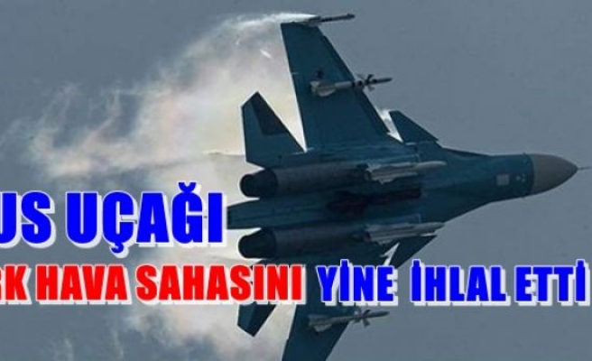 Rus uçağı Türk hava sahasını yine ihlal etti