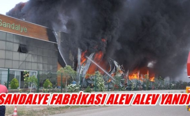 Sandelye fabrikası alev alev yandı