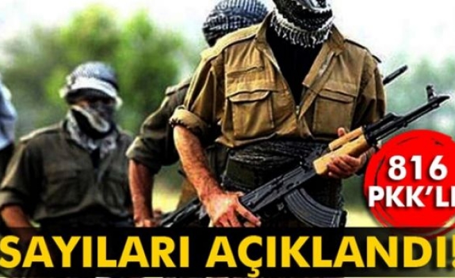 Sayıları açıklandı! 816 PKK’lı...