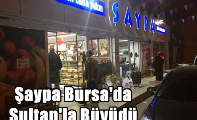 Şaypa Bursa'da Sultan'la Büyüdü