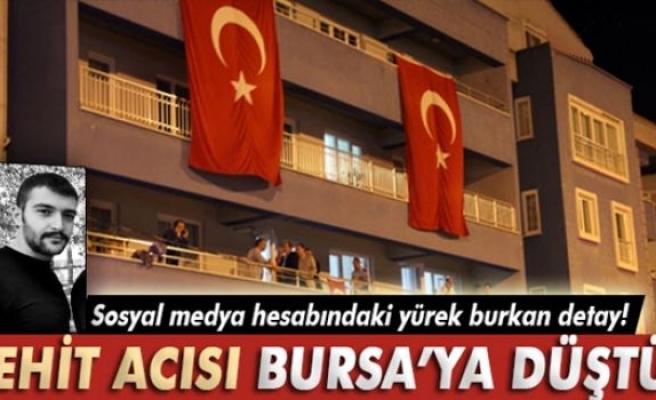 Şehit polisin acısı Bursa'ya düştü